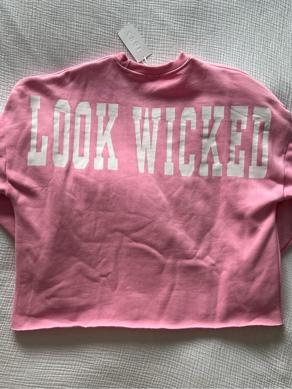 NWT • 1987 Limited Edition “You Look Wicked Good” Crewneck in Pink • Medium